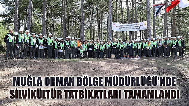 Muğla Orman Bölge Müdürlüğü'nde silvikültür tatbikatları tamamlandı