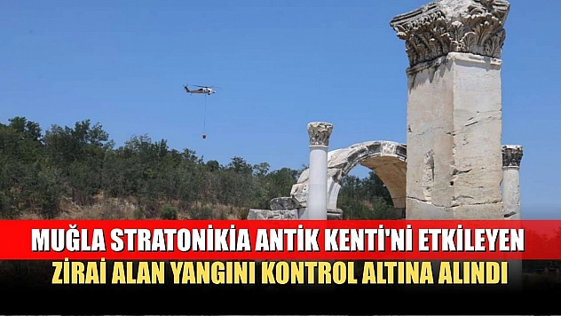 Muğla Stratonikia Antik Kenti'ni etkileyen zirai alan yangını kontrol altına alındı