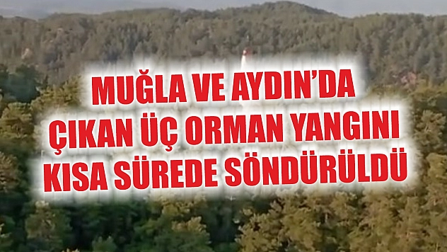 Muğla ve Aydın'da çıkan üç orman yangını kısa sürede söndürüldü
