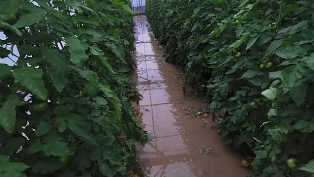 Muhtardan yetkililere 'Yazıklar olsun'