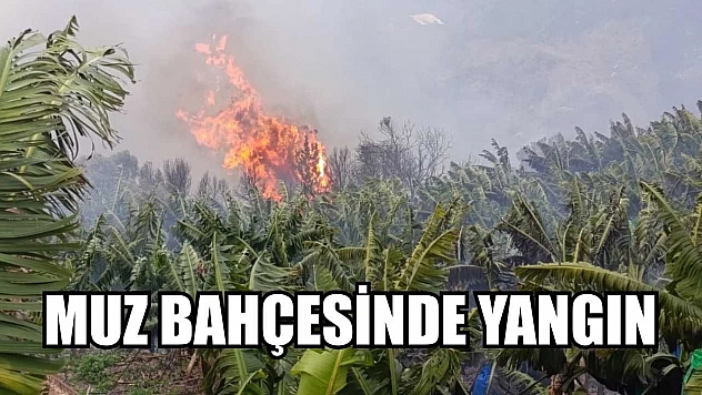 Muz bahçesinde yangın