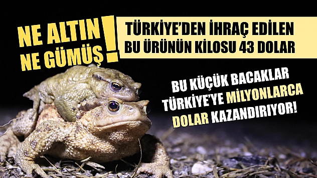 Ne altın ne gümüş! Türkiye'den ihraç edilen bu ürünün kilosu 43 dolar