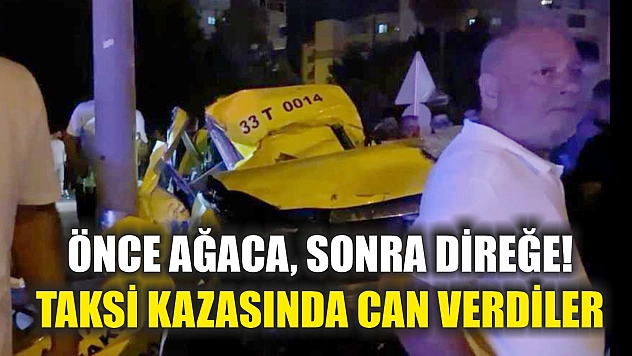 Önce ağaca, sonra direğe! Taksi kazasında can verdiler