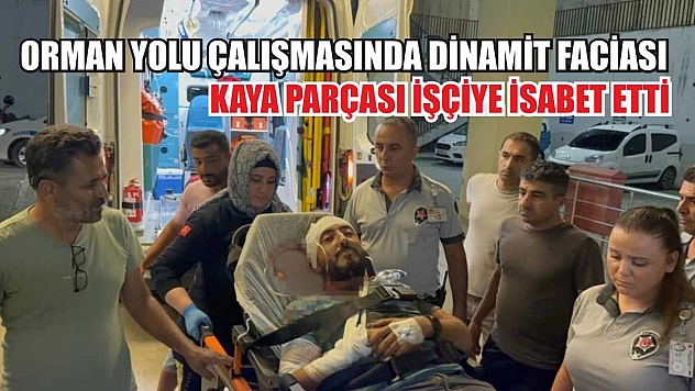 Orman Yolu Çalışmasında Dinamit Faciası: Kaya Parçası İşçiye İsabet Etti