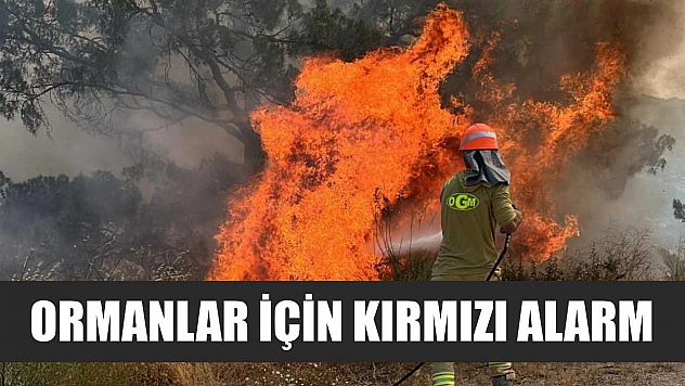 Ormanlar için kırmızı alarm