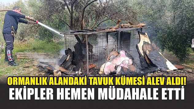 Ormanlık alandaki tavuk kümesi alev aldı! ekipler hemen müdahale etti