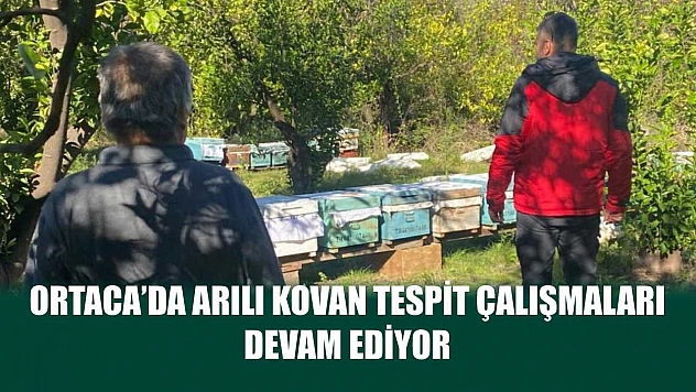Ortaca'da Arılı Kovan Tespit Çalışmaları Devam Ediyor