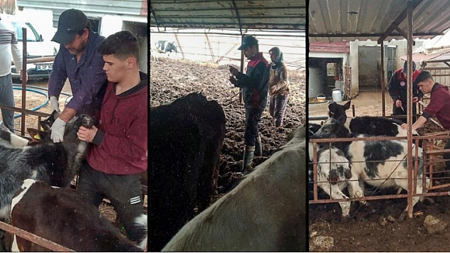 Ortaca'da aşılama çalışmaları tamamlandı