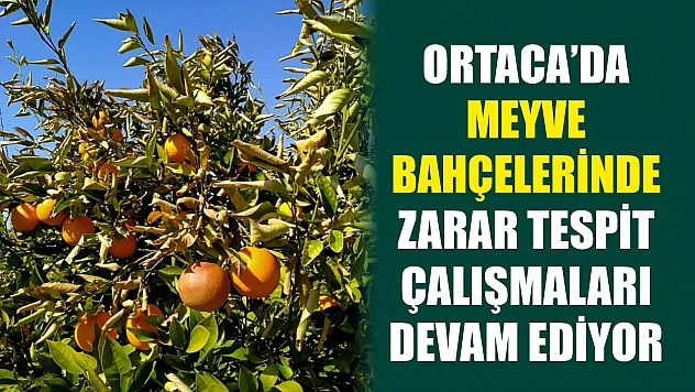 Ortaca'da meyve bahçelerinde zarar tespit çalışmaları devam ediyor