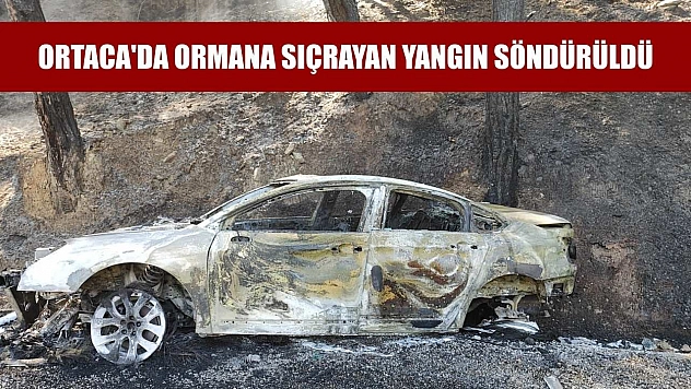 Ortaca'da ormana sıçrayan yangın söndürüldü