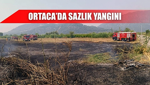 Ortaca'da sazlık yangını