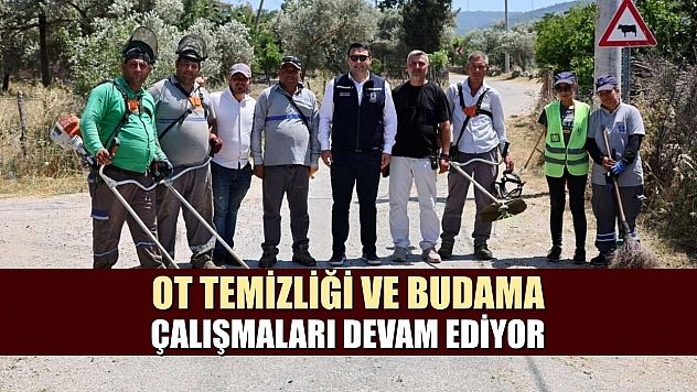 Ot temizliği ve budama çalışmaları devam ediyor