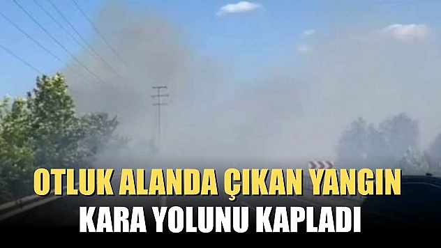 Otluk alanda çıkan yangın, kara yolunu kapladı