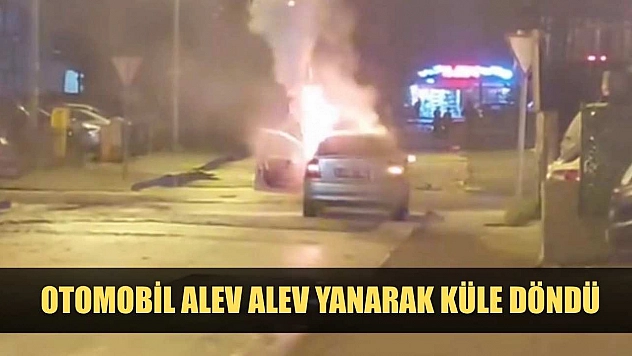 Otomobil alev alev yanarak küle döndü