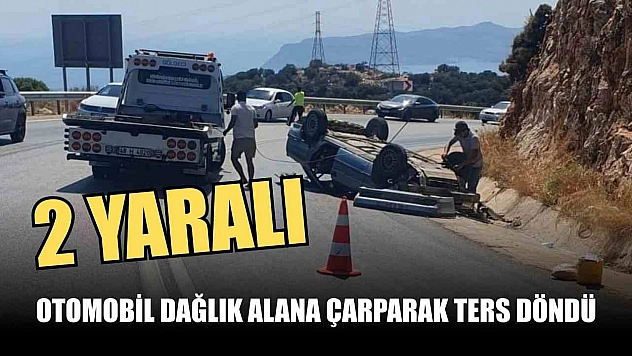 Otomobil dağlık alana çarparak ters döndü: 2 yaralı