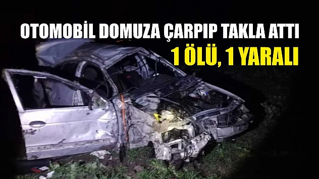 Otomobil domuza çarpıp takla attı: 1 ölü, 1 yaralı