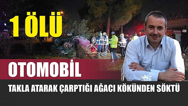 Otomobil, takla atarak çarptığı ağacı kökünden söktü: 1 ölü