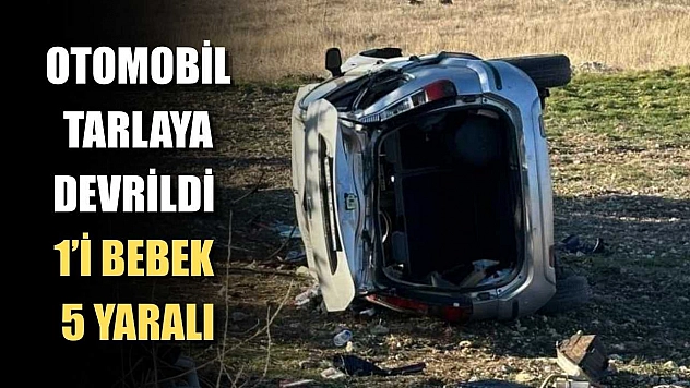 Otomobil tarlaya devrildi: 1'i bebek 5 yaralı