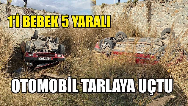 Otomobil tarlaya uçtu: 1'i bebek 5 yaralı