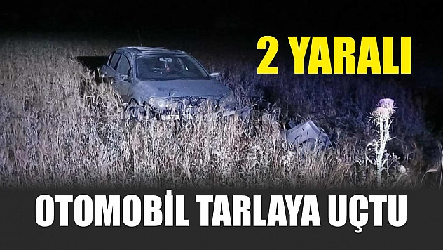 Otomobil tarlaya uçtu: 2 yaralı