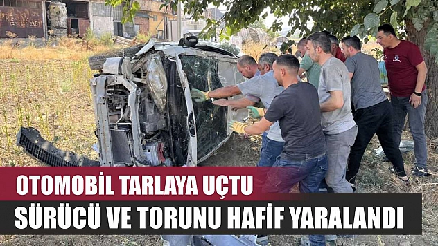 Otomobil tarlaya uçtu, sürücü ve torunu hafif yaralandı