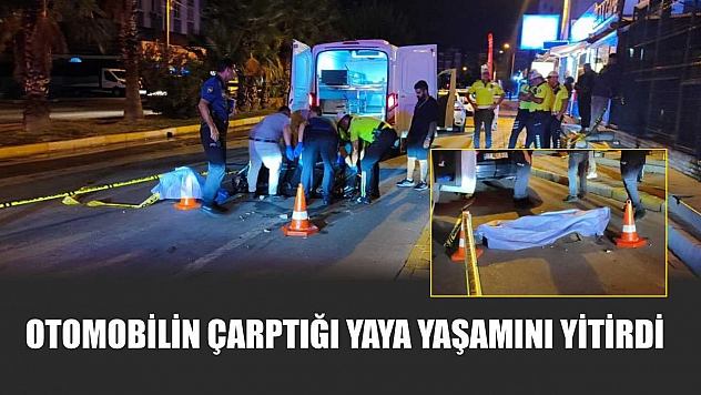 Otomobilin çarptığı yaya yaşamını yitirdi