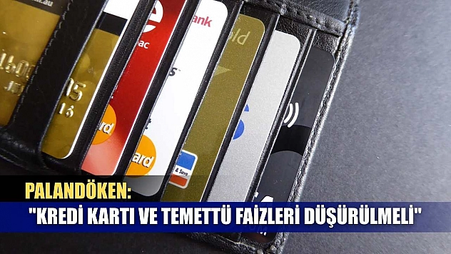 Palandöken: 'Kredi kartı ve temettü faizleri düşürülmeli'