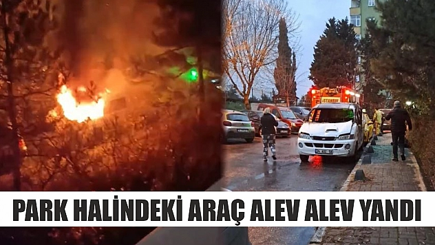 Park halindeki araç alev alev yandı