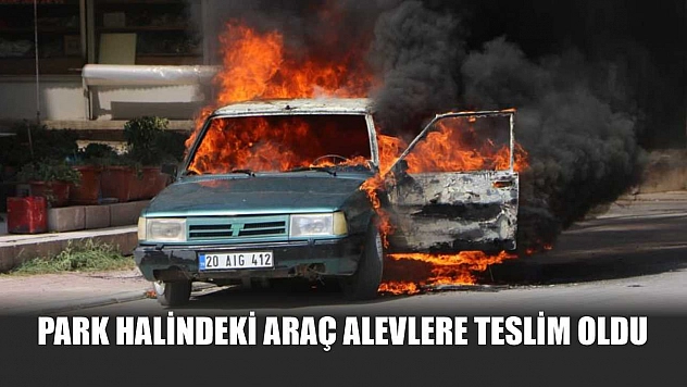Park Halindeki Araç Alevlere Teslim Oldu