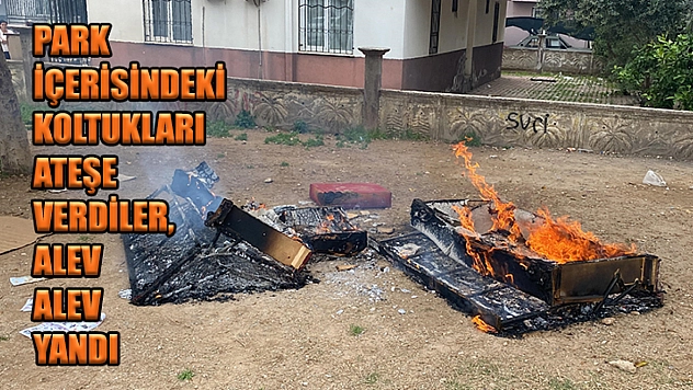 Park İçerisindeki Koltukları Ateşe Verdiler, Alev Alev Yandı