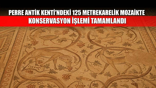 Perre Antik Kenti'ndeki 125 metrekarelik mozaikte konservasyon işlemi tamamlandı