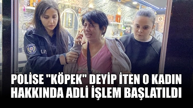Polise 'köpek' deyip iten o kadın hakkında adli işlem başlatıldı