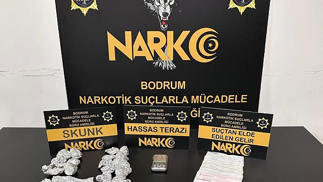 Polisten kaçarken kaza yaptılar