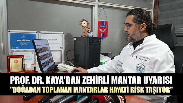 Prof. Dr. Kaya'dan zehirli mantar uyarısı: 'Doğadan toplanan mantarlar hayati risk taşıyor'