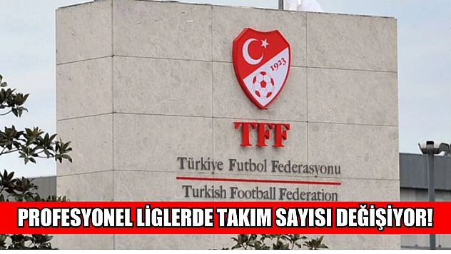 Profesyonel liglerde takım sayısı değişiyor! TFF resmen açıkladı