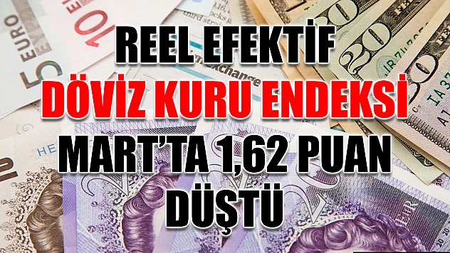 Reel Efektif Döviz Kuru Endeksi Mart'ta 1,62 Puan Düştü