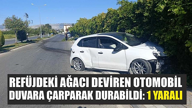 Refüjdeki ağacı deviren otomobil duvara çarparak durabildi: 1 yaralı
