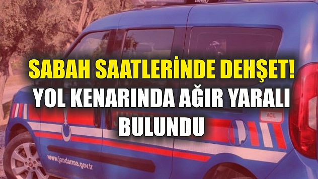 Sabah saatlerinde dehşet! Yol kenarında ağır yaralı bulundu