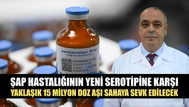 Şap hastalığının yeni serotipine karşı yaklaşık 15 milyon doz aşı sahaya sevk edilecek