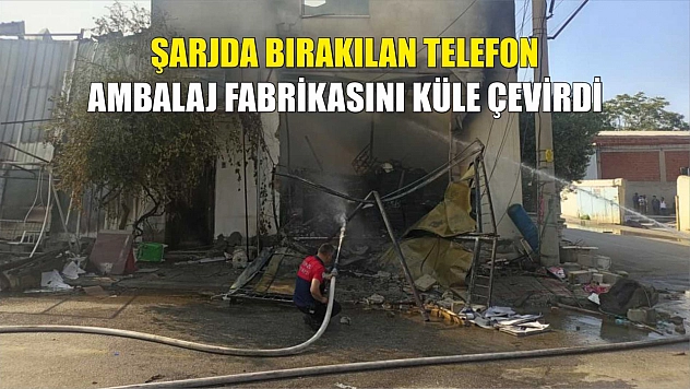 Şarjda bırakılan telefon, ambalaj fabrikasını küle çevirdi