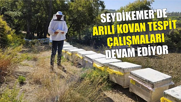 Seydikemer'de arılı kovan tespit çalışmaları devam ediyor