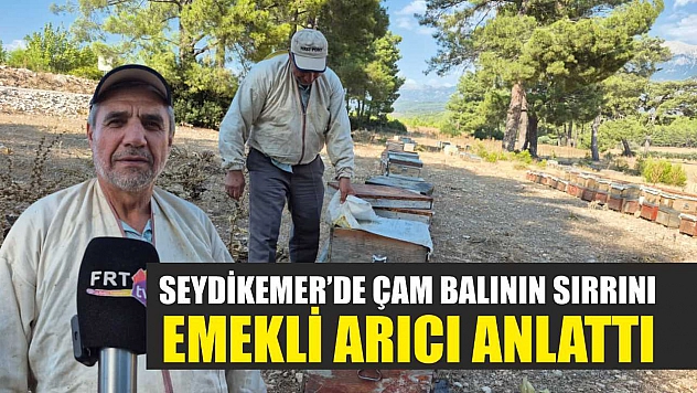 Seydikemer'de Çam Balının Sırrını Emekli Arıcı Anlattı