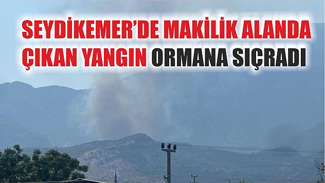 Seydikemer'de Makilik Alanda Çıkan Yangın Ormana Sıçradı