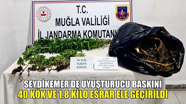 Seydikemer'de Uyuşturucu Baskını, 40 Kök ve 1.8 Kilo Esrar Ele Geçirildi