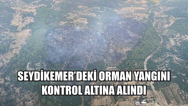 Seydikemer'deki orman yangını kontrol altına alındı