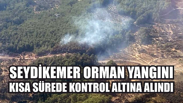 Seydikemer orman yangını kısa sürede kontrol altına alındı