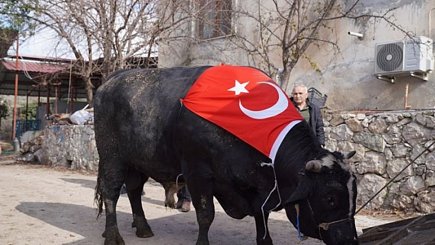 SEYDİKEMERLİ BESİCİ TÜRKİYE REKORUNU KIRDI