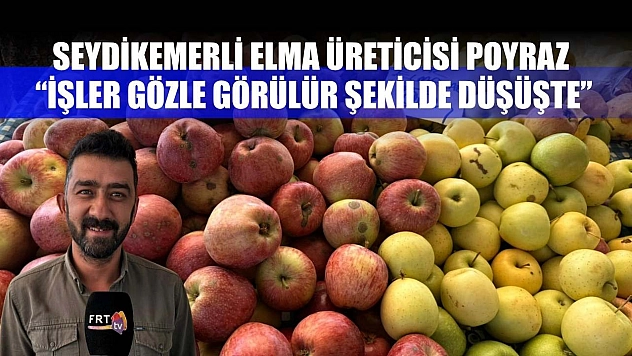 Seydikemerli elma üreticisi Poyraz, 'İşler gözle görülür şekilde düşüşte'