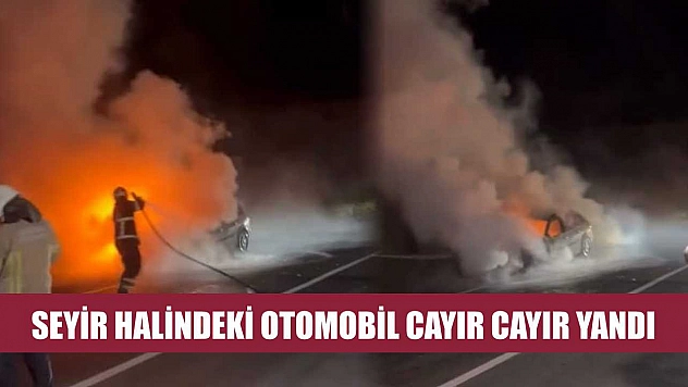 Seyir Halindeki Otomobil Cayır Cayır Yandı