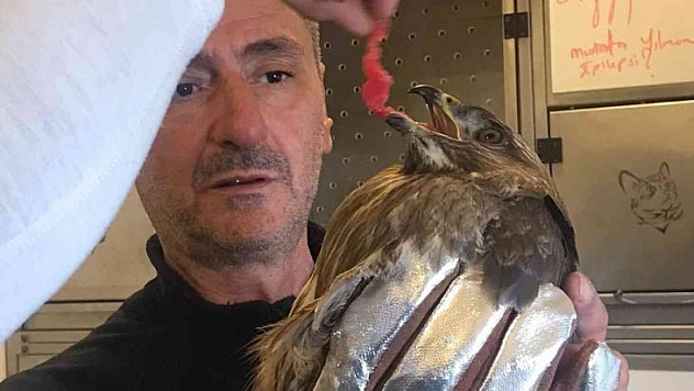 Soğuk hava şahini de vurdu